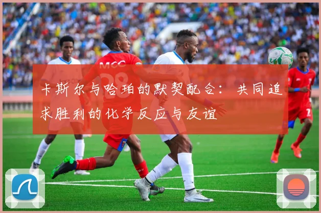 卡斯尔与哈珀的默契配合：共同追求胜利的化学反应与友谊